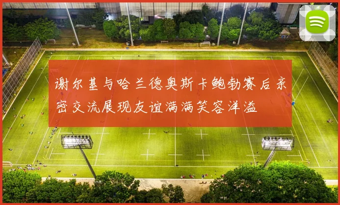 谢尔基与哈兰德奥斯卡鲍勃赛后亲密交流展现友谊满满笑容洋溢